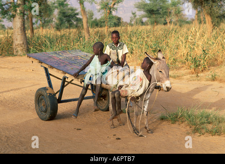 Boys going home from the local market by donkey cart. Gorom Gorom, Burkina Faso Stock Photo