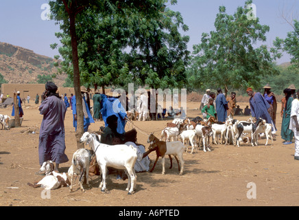 Goat market. Burkina Faso Stock Photo