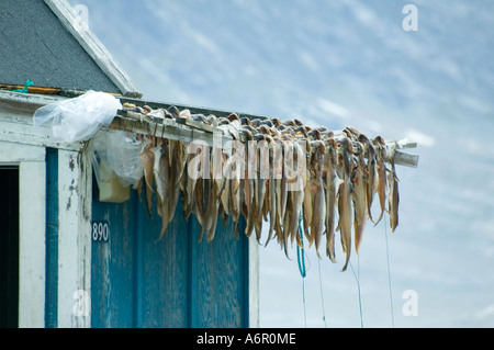 Fish drying at the Inuit village of Tiniteqilâq, Sermilik Fjord, East Greenland Stock Photo
