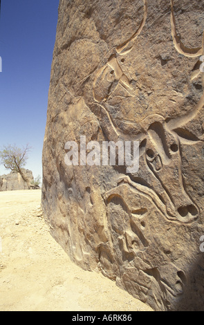 Africa, Algeria, Sahara, Terarart. Crying Cow, carved stone in desert Stock Photo