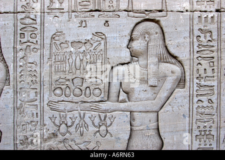 Temple of Denderah, Queen Cleopatra: human figures and hieroglyphics carved in the stone: offerings Stock Photo