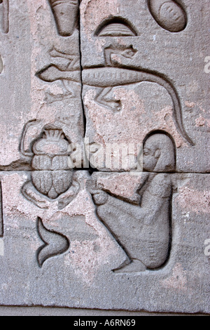 Temple of Denderah, Queen Cleopatra: human figures and hieroglyphics carved in the stone Stock Photo