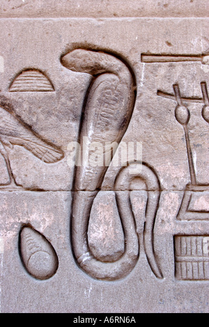 Temple of Denderah, Queen Cleopatra: human figures and hieroglyphics carved in the stone: a cobra snake Stock Photo