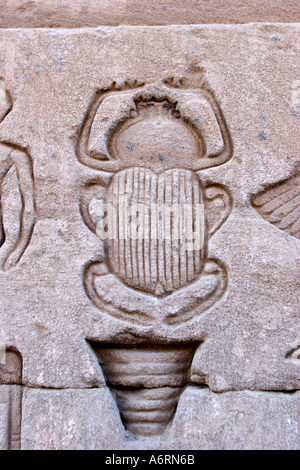 Temple of Denderah, Queen Cleopatra: human figures and hieroglyphics carved in the stone: a beetle Stock Photo