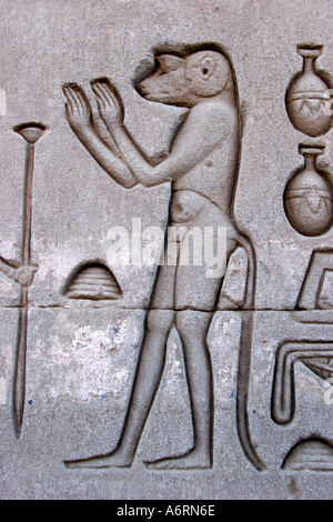 Temple of Denderah, Queen Cleopatra: human figures and hieroglyphics carved in the stone: a monkey Stock Photo