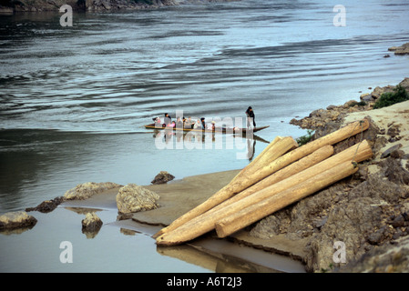 Teak logs (tectonis grandis) stacked beside the Salween River on the Thailand Burma border. Stock Photo