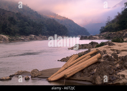 Teak logs (tectonis grandis) stacked beside the Salween River on the Thailand Burma border. Stock Photo