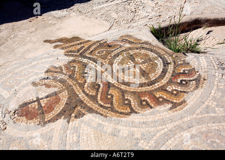 Water reveals a mosaic floor still insitu at Sabratha in Libya and now threatened by the effects of the weather Stock Photo