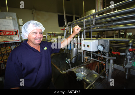 worker in ginger factory Buderim Yandina Queensland Australia Stock Photo