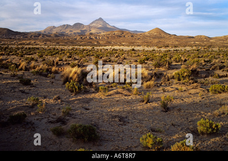 high altitude landscape with distant mountain in Bolivia as sun sets