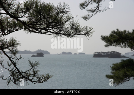 Japan Nothern Honshu Miyagi ken Matsushima bay Oshima island view of sea and small islands seen through pine trees Stock Photo