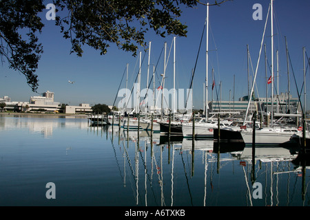 yacht port harbor Tampa Bay Florida St Petersburg Sunshine Skyway Tampa Bay in Saint Petersburg south southern southeastern Stock Photo