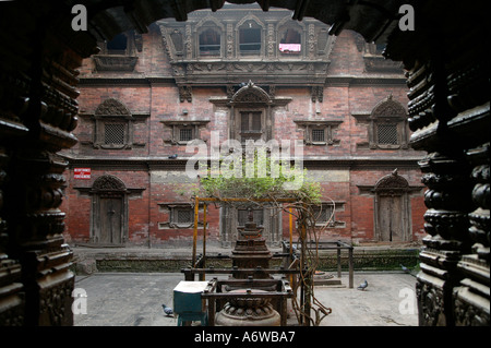 Windows of Kumari Devi, the living goddess. Kumari is the tradition of