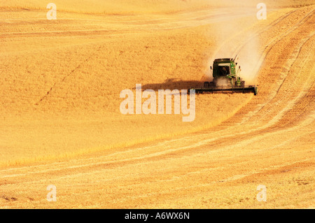 a combine harvesting the wheat crops in the rolling hills of the Palouse area of southeastern Washington state summer 2006 Stock Photo