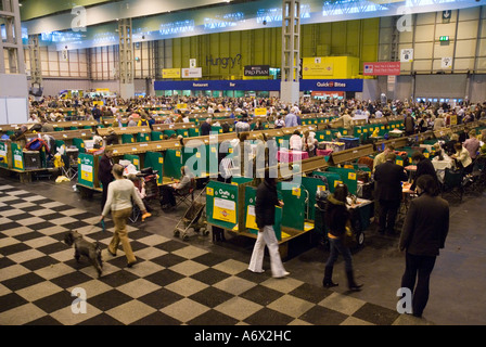 Crufts at the NEC Stock Photo