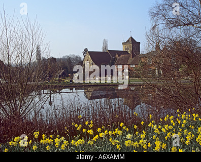 CHIDDINGFOLD Surrey UK March Looking across the daffodil lined pond to St Mary's Parish Church Stock Photo