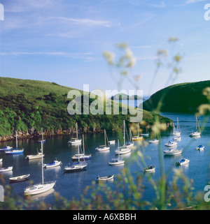 A view of Solva Harbour at high tide with moored sailing boats, Pembrokeshire, UK Stock Photo