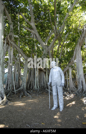 Statue of Thomas Edison in Banyan Tree at Edison and Ford Winter Estates Southwest Ft Fort Meyers Myers Florida FL Stock Photo