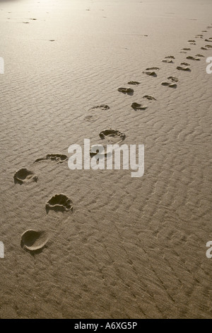 Footprints in the sand Stock Photo - Alamy