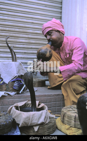 Serpent charmer from India featuring snake showoff in Thamel Kathmandu Nepal Stock Photo