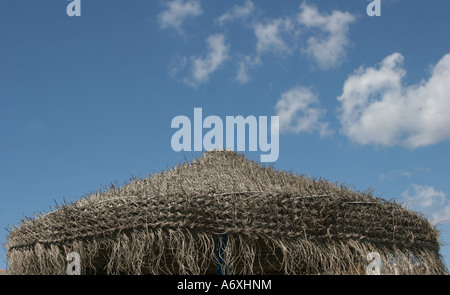 Beach parasol Stock Photo