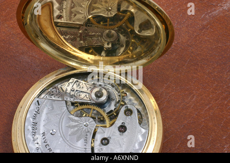 Gold watch showing the works inside - Walthamstow Watch Company Stock Photo