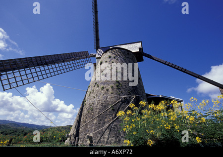 CARIBBEAN, Barbados St Nicholas Abbey Sugar Mill, St Peter Parish Stock Photo