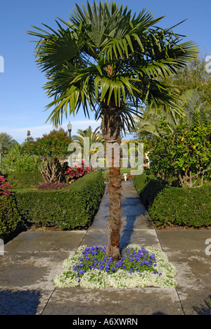 Hollis Garden park in the heart of downtown Lakeland Florida FL USA Stock Photo