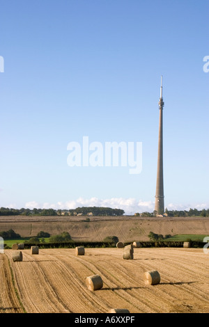 View of Emley Moor Television Mast across fields with hay bales late afternoon sun Stock Photo