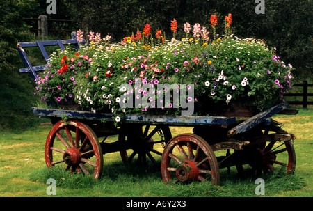 Flowers cart cornwall United Kingdom England Stock Photo