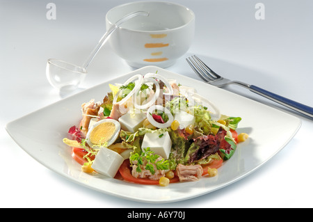 Salad with various lettuce tuna corn hard boiled egg cheese and spring onion Stock Photo