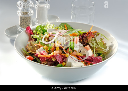 Salad with various lettuce tuna corn hard boiled egg cheese and spring onion Stock Photo