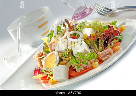 Salad with various lettuce tuna corn hard boiled egg cheese and spring onion Stock Photo