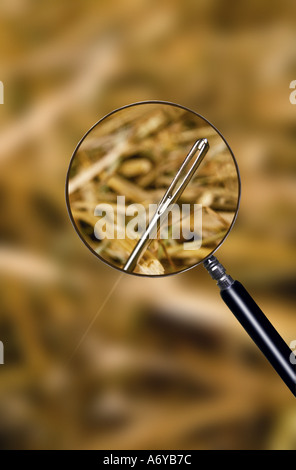 Looking for a needle in a haystack with a magnifying glass Stock Photo