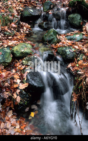 Small stream and waterfall in autumn.  Near Derwent Water. Stock Photo