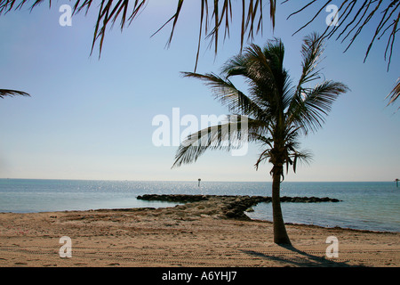 Florida Keys unbelievable view infinity endless water road vast waterfront beach sea America Americas beach beaches coastline Stock Photo