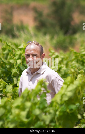 Sylvain Fadat Domaine d'Aupilhac. Montpeyroux. Languedoc. Owner winemaker. France. Europe. Vineyard. Stock Photo