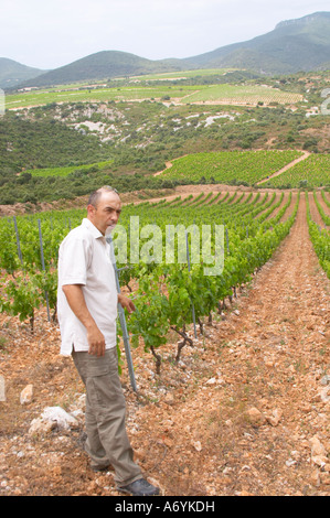 Sylvain Fadat Domaine d'Aupilhac. Montpeyroux. Languedoc. Les Cocalieres recently planted magnificent vineyard plot on the hill Stock Photo
