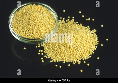 food cereals millet panicle panicle millet panicum milliaceum Stock Photo