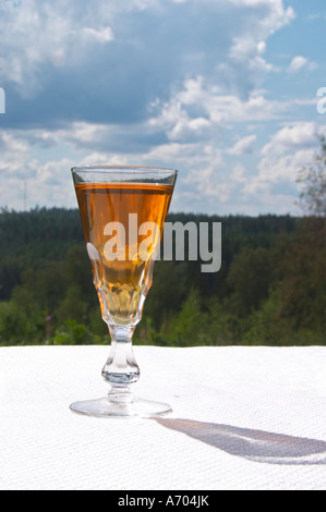 Swedish traditional aquavit schnapps glass in pointed form filled to the brim with spiced vodka, brannvin. A blue and cloudy su Stock Photo