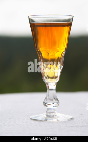 Swedish traditional aquavit schnapps glass in pointed form filled to the brim with spiced vodka, brannvin. Sweden, Europe. Stock Photo