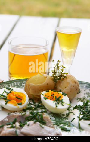 Traditional Swedish summer lunch with marinated herring sill, boiled new potatoes, egg, sour cream, chive, knackebrod dry hard Stock Photo