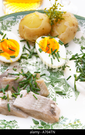 Traditional Swedish summer lunch with marinated herring sill, boiled new potatoes, egg, sour cream, chive, knackebrod dry hard Stock Photo