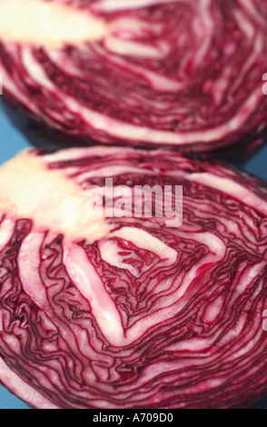 Red cabbage Stock Photo