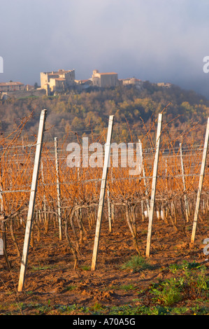 View over Roquetaillade village in morning mist clouds. Domaine Jean Louis Denois. Limoux. Languedoc. Young vines. An early winter morning with mist still laying low and sunshine glowing golden. France. Europe. Vineyard. Stock Photo