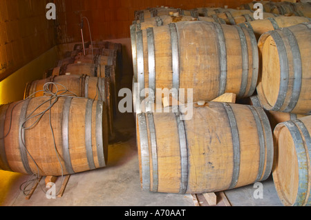 Chateau Rives-Blanques. Limoux. Languedoc. Barrel cellar. France. Europe. Stock Photo