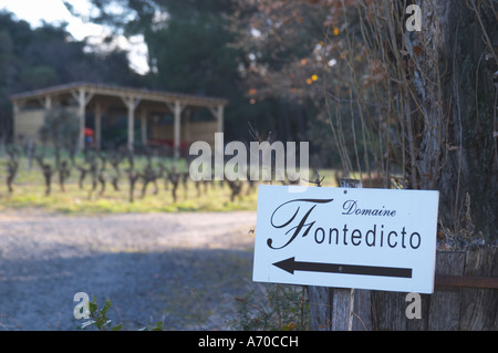 Domaine Fontedicto, Caux. Pezenas region. Languedoc. France. Europe. Stock Photo