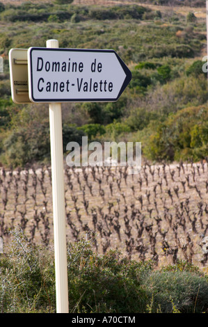 Domaine de Canet-Valette Cessenon-sur-Orb St Chinian. Languedoc. France. Europe. Vineyard. Stock Photo