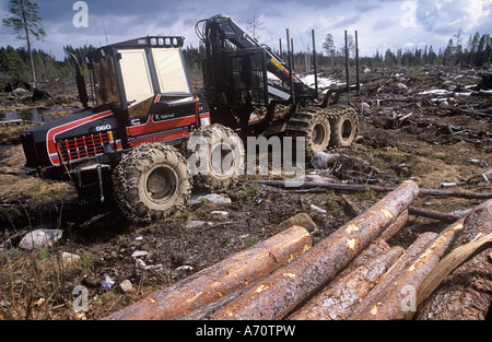 Forest and Parks Service Logging Old Growth, Valtimo Nurmes Finland, Europe. Stock Photo