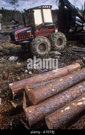 Forest and Parks service logging old growth, Valtimo, Nurmes, Finland, Europe. Stock Photo